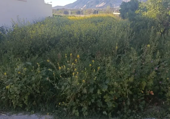 desbroces Granada